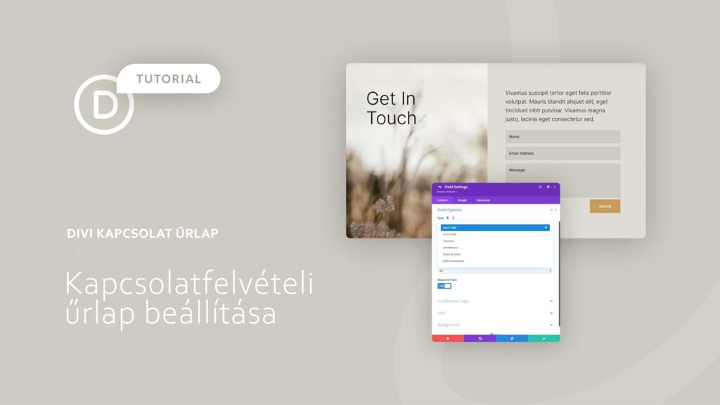 kapcsolat urlap hero A Divi kapcsolatfelvételi űrlap beállítása