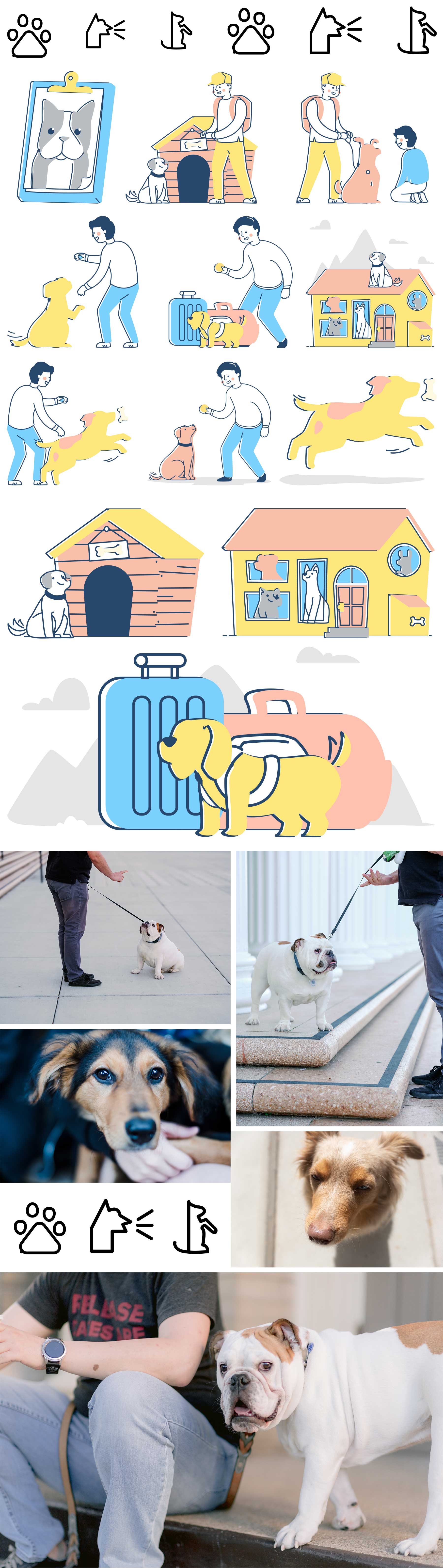 Pet Trainer Layout Pack a Divi számára