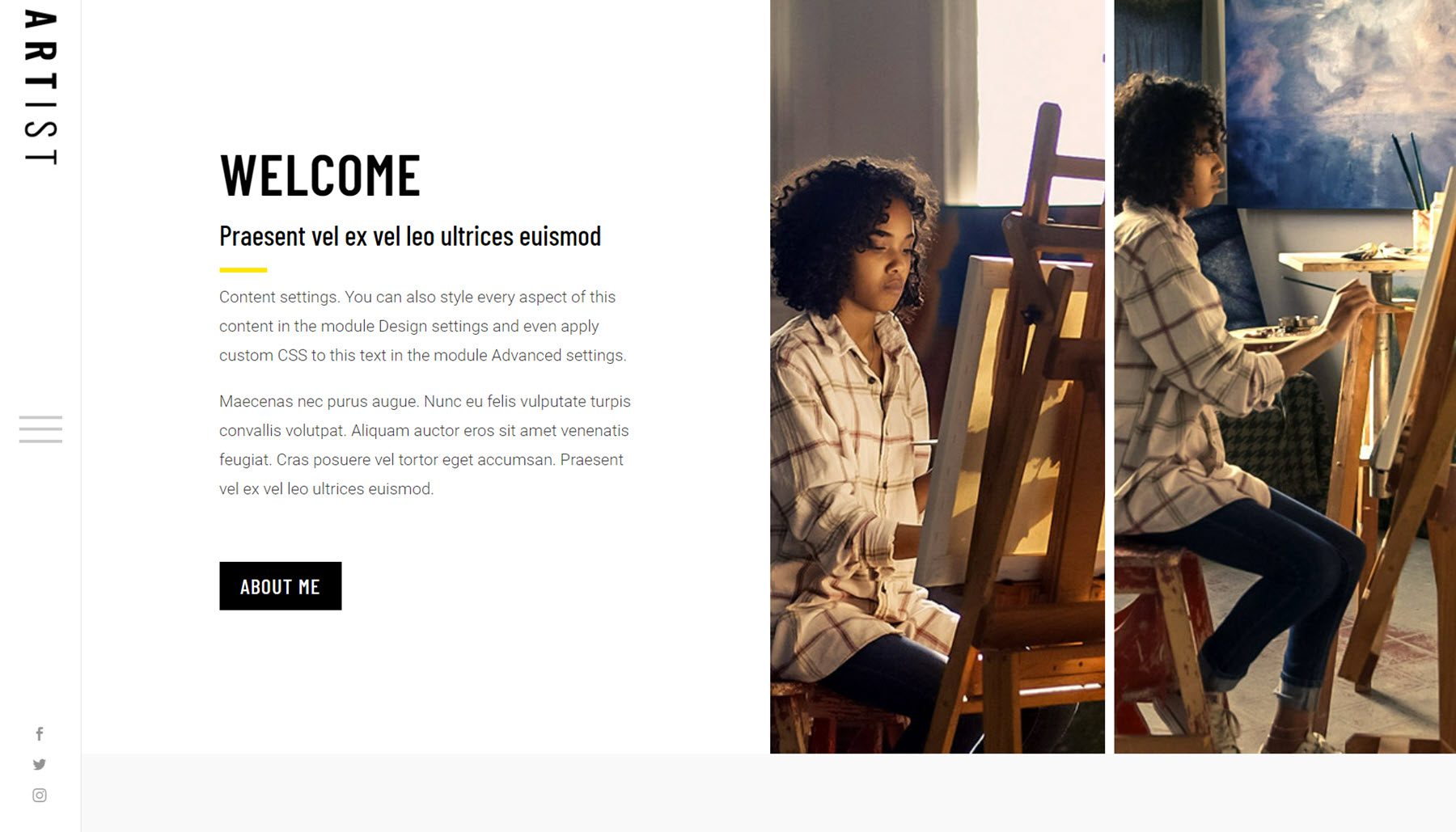 Divi Artist téma (e-kereskedelem)