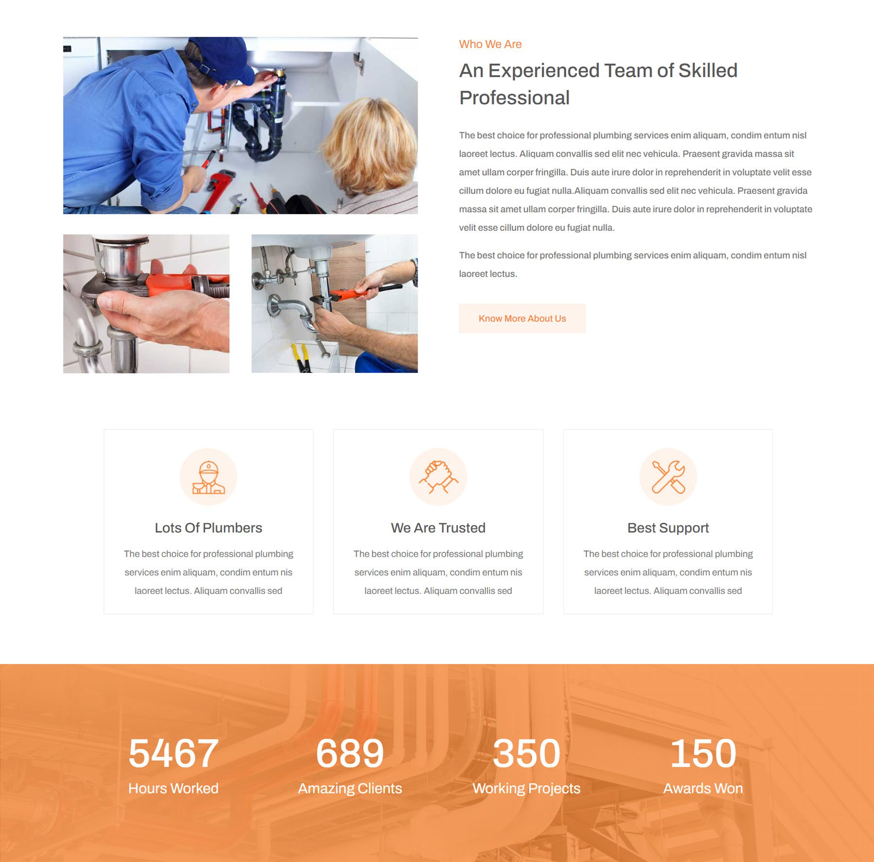 Divi vízvezeték-szerelő