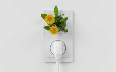 Ingyenes Fenntartható energia elrendezési csomag a Divi számára