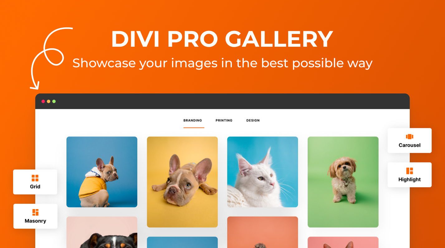 A legjobb Divi Gallery beépülő modulok – A Divi Pro Gallery szekcióban kiemelt kép