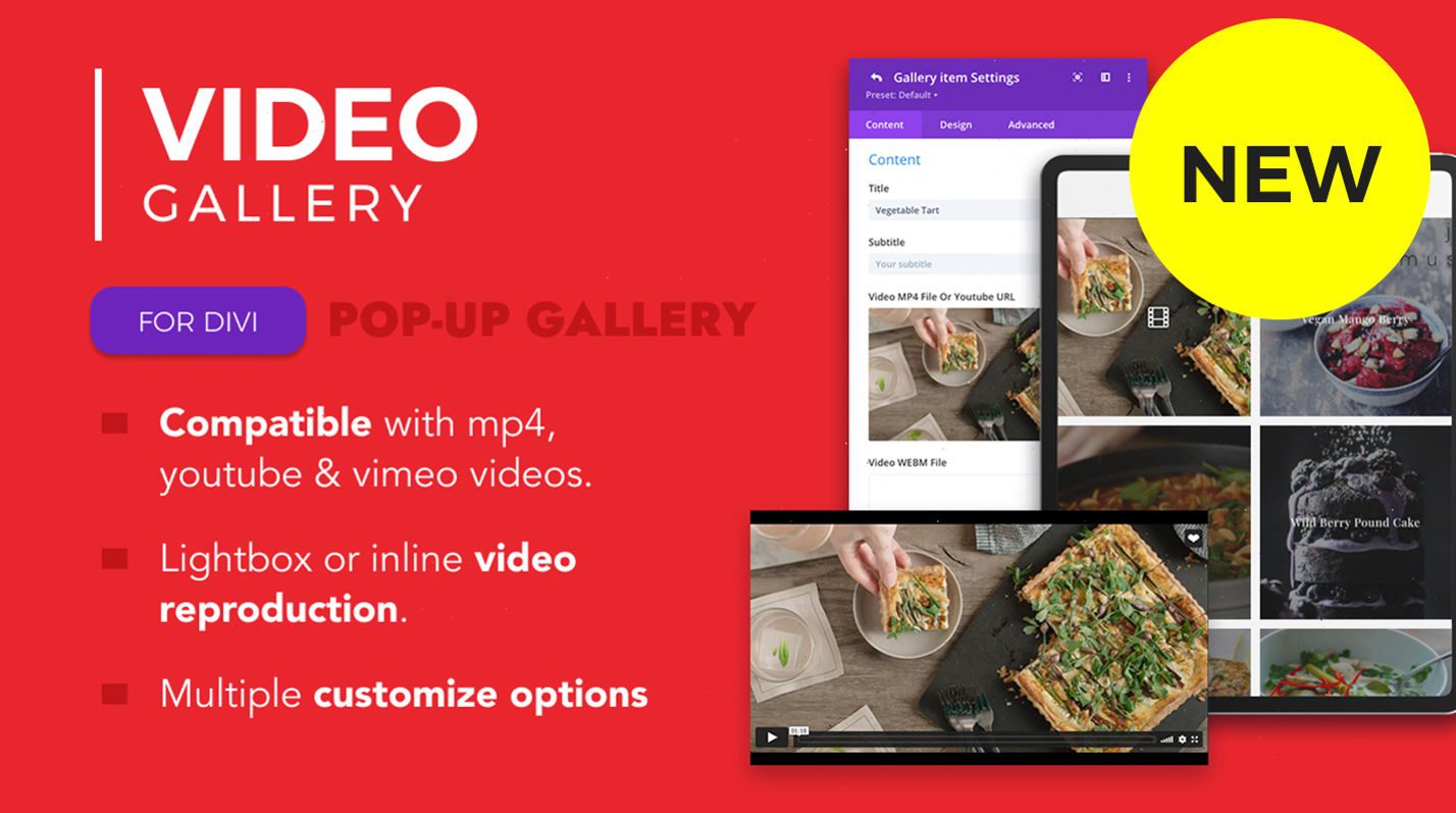 A legjobb Divi Gallery beépülő modulok – A Divi Video Gallery szekcióban kiemelt kép
