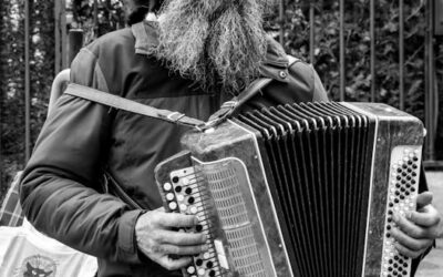 A Divi harmonika modul alapértelmezett nyitott vagy zárt állapotának beállítása