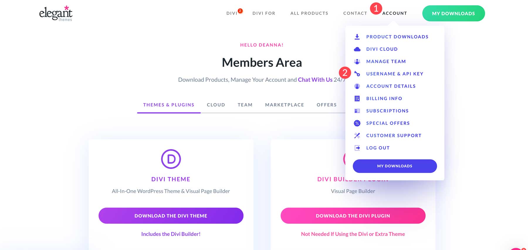 Elegant Themes tagterület