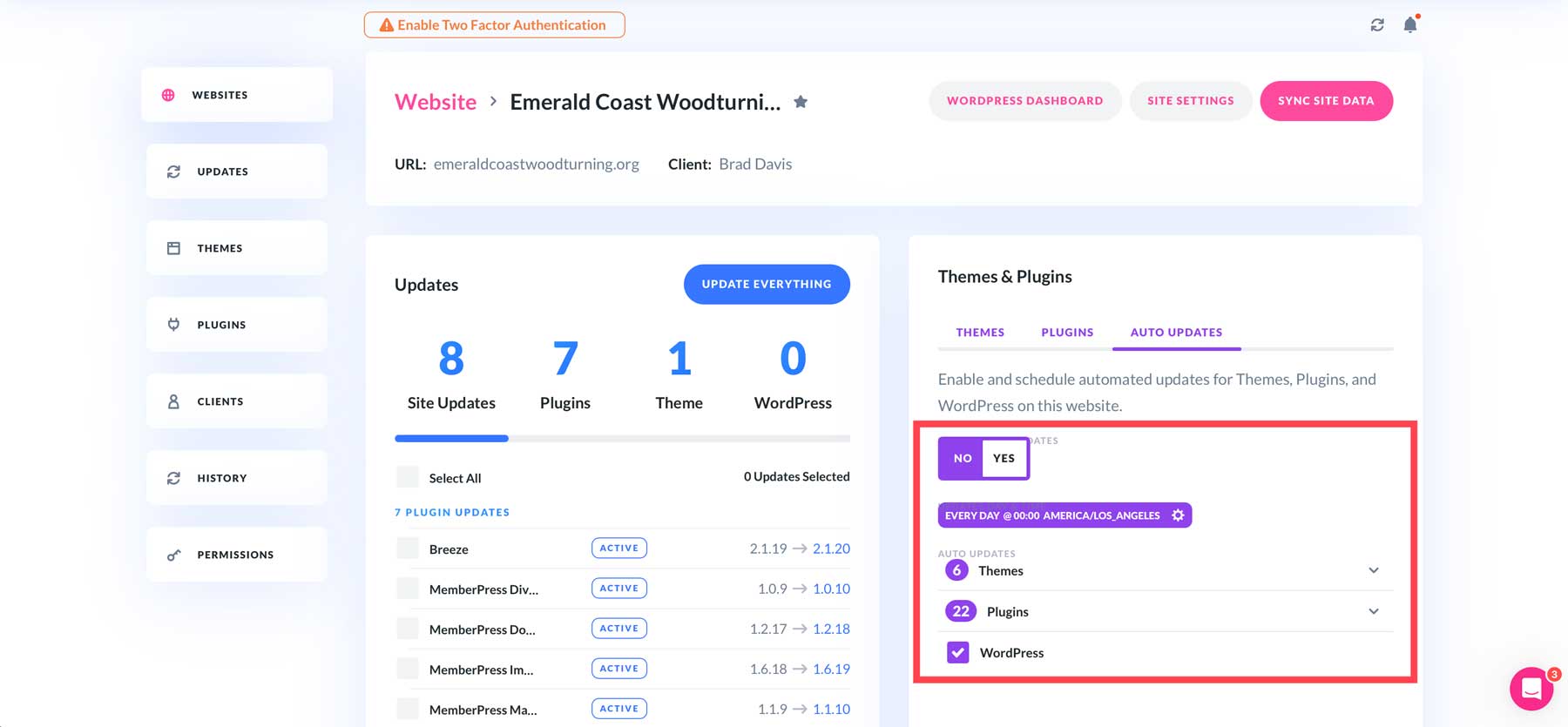 Divi Dash automatikus frissítések